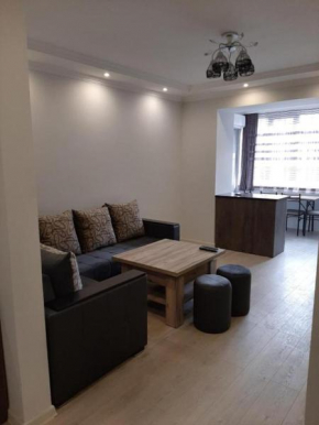 Mesrop Mashtots Avenue 6, 2 room apartament